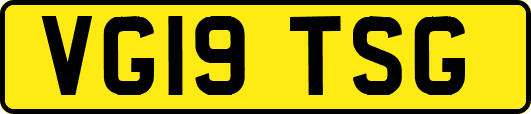 VG19TSG