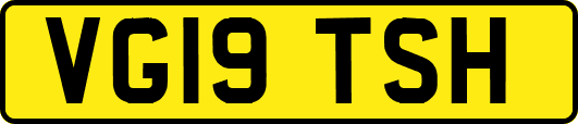 VG19TSH