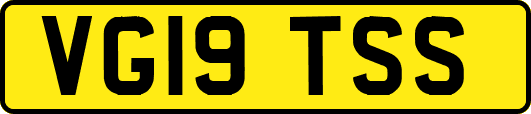 VG19TSS