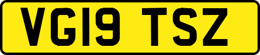 VG19TSZ