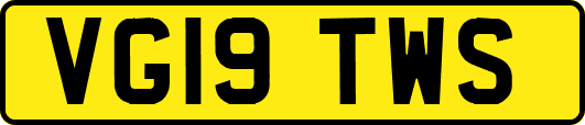 VG19TWS
