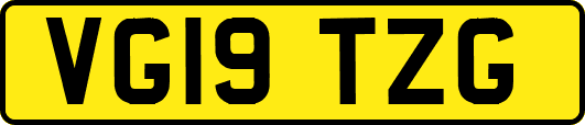 VG19TZG