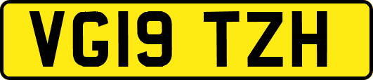 VG19TZH
