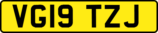 VG19TZJ