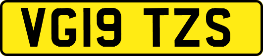 VG19TZS