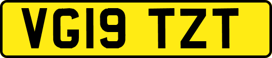 VG19TZT