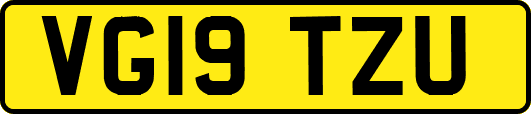 VG19TZU