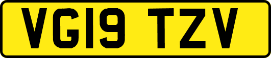 VG19TZV