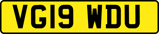VG19WDU