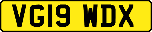 VG19WDX
