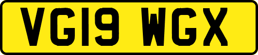 VG19WGX