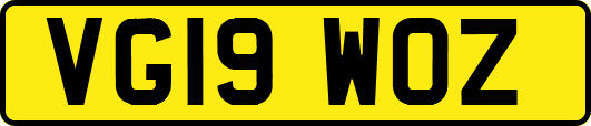 VG19WOZ