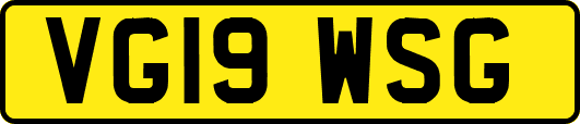 VG19WSG