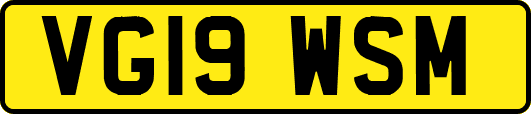 VG19WSM