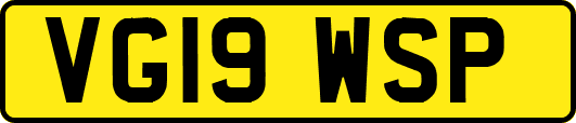 VG19WSP