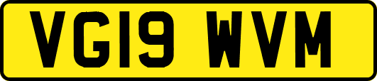 VG19WVM