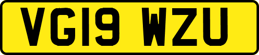 VG19WZU