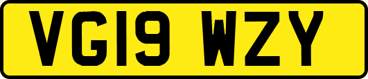 VG19WZY