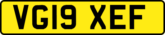 VG19XEF
