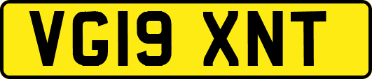 VG19XNT