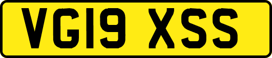 VG19XSS