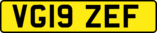 VG19ZEF