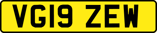 VG19ZEW