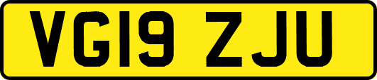 VG19ZJU