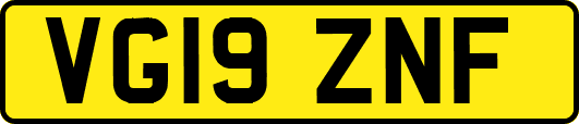 VG19ZNF