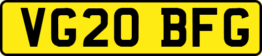 VG20BFG