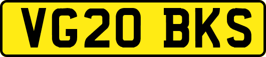 VG20BKS