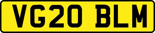 VG20BLM