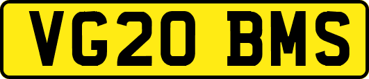 VG20BMS