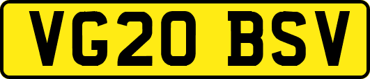 VG20BSV