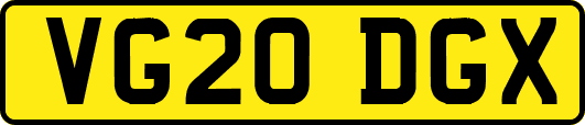 VG20DGX