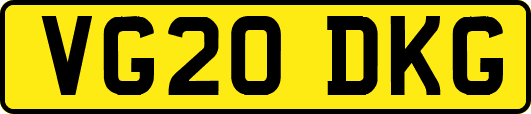 VG20DKG