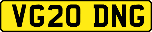 VG20DNG