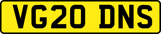 VG20DNS