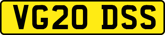 VG20DSS