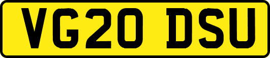 VG20DSU