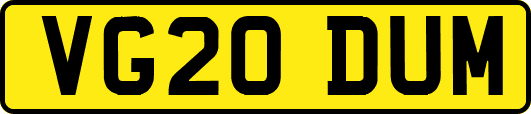 VG20DUM