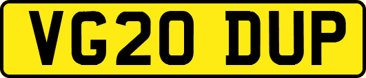 VG20DUP