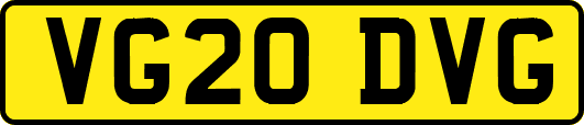 VG20DVG