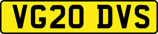 VG20DVS