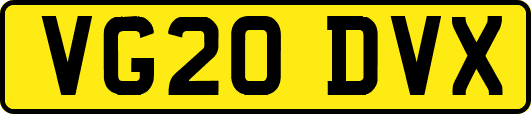 VG20DVX