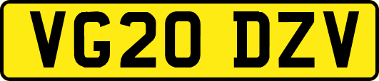 VG20DZV