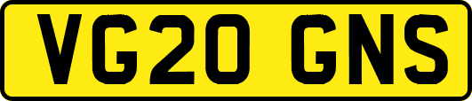 VG20GNS