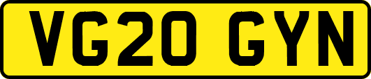 VG20GYN
