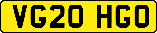 VG20HGO