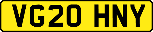 VG20HNY